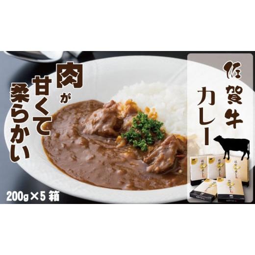 ふるさと納税 佐賀県 小城市 佐賀牛カレー(5箱セット)煮込みスジ肉入り