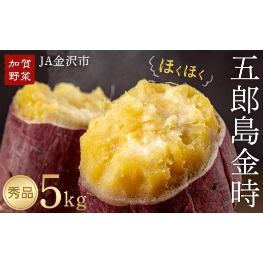 ふるさと納税 野菜類 サツマイモ 石川県 金沢市 さつまいも JA金沢市 加賀野菜 五郎島金時 秀品・5kg | サツマイモ さつまいも 芋 焼き芋 焼芋 金時 スイート…の画像
