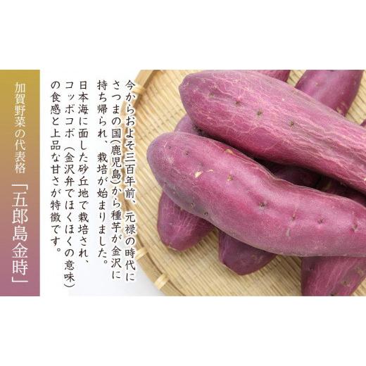 ふるさと納税 野菜類 サツマイモ 石川県 金沢市 さつまいも JA金沢市 加賀野菜 五郎島金時 秀品・5kg | サツマイモ さつまいも 芋 焼き芋 焼芋 金時 スイート…の画像