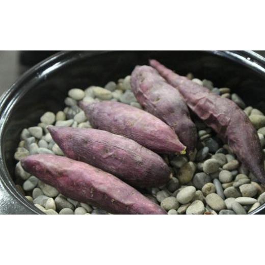 ふるさと納税 野菜類 サツマイモ 石川県 金沢市 さつまいも JA金沢市 加賀野菜 五郎島金時 秀品・5kg | サツマイモ さつまいも 芋 焼き芋 焼芋 金時 スイート…の画像