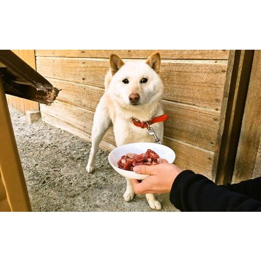 ふるさと納税 山梨県 丹波山村 捕獲後2時間以内に解体! 新鮮ペット用鹿肉1kg