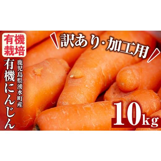 ふるさと納税 野菜類 人参 鹿児島県 湧水町 y161 訳あり・数量限定 湧水町産有機にんじん(約10kg) 国産 九州産 鹿児島産 有機野菜 有機栽培 にんじん 人参 ニ…