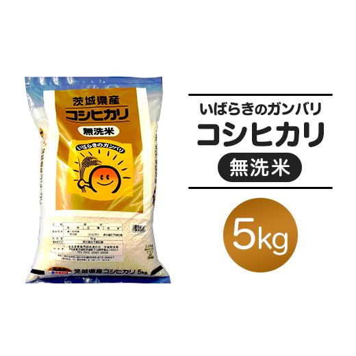 ふるさと納税 無洗米 茨城県 茨城町 151 令和7年産 茨城県産 無洗米 コシヒカリ 5kg