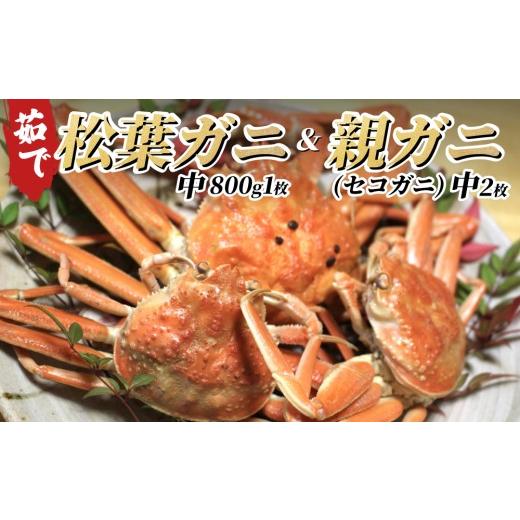 ふるさと納税 カニ 松葉ガニ 鳥取県 岩美町 松葉がに&親がにセット(ボイル)|鳥取 岩美町 松葉ガニ ずわいがに お届けは2026年11月中旬〜 22008-1