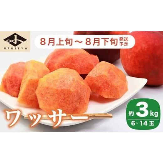 ふるさと納税 もも 長野県 小布施町 ワッサー 約3kg 6〜14玉 [小布施屋] フルーツ 果物 長野県産 信州産 クール便 冷蔵便 数量限定 産地直送 令和8年産 2026…