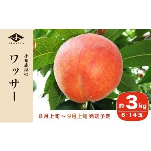 ふるさと納税 もも 長野県 小布施町 ワッサー 約3kg 6〜14玉 ［小布施屋］ フルーツ 果物 長野県産 信州産 クール便 冷蔵便 数量限定 産地直送 令和8年産 2026…の画像
