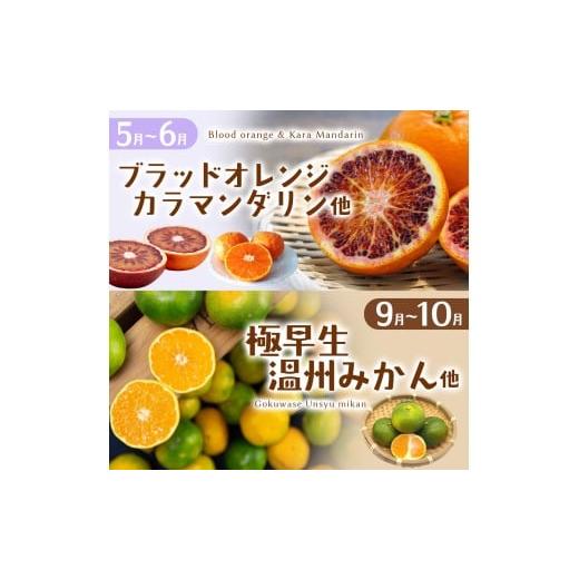 ふるさと納税 果物の詰合せ 三重県 熊野市  定期便 自然塾 季節の柑橘詰合せ 3回定期便 みかん ミカン 温州みかん フルーツ 果物 くだもの 柑橘 不知火 せとか…_4