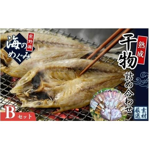 ふるさと納税 干物 三重県 熊野市  干物 セット 海の恵み B 9種 詰め合わせ 干物 アジ あじ サンマ さんま 鯛 たい イカ スルメイカ カマス カワハギ 魚 魚介 …_1