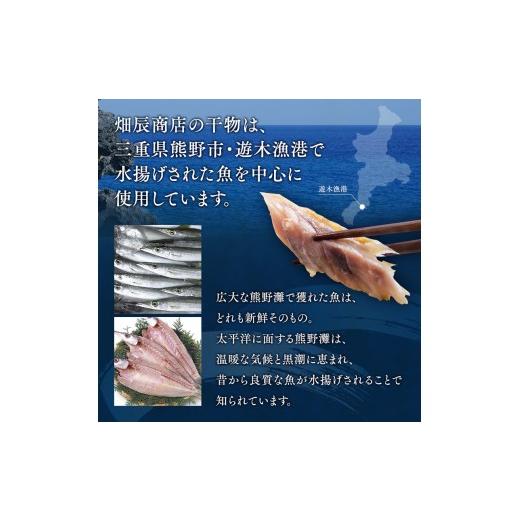 ふるさと納税 干物 三重県 熊野市  干物 セット 海の恵み B 9種 詰め合わせ 干物 アジ あじ サンマ さんま 鯛 たい イカ スルメイカ カマス カワハギ 魚 魚介 …_4