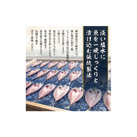 ふるさと納税 干物 三重県 熊野市  干物 セット 海の恵み B 9種 詰め合わせ 干物 アジ あじ サンマ さんま 鯛 たい イカ スルメイカ カマス カワハギ 魚 魚介 …_5