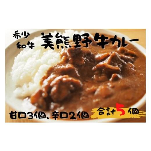 ふるさと納税 三重県 熊野市 [美熊野牛]カレー 黒毛和牛 希少和牛