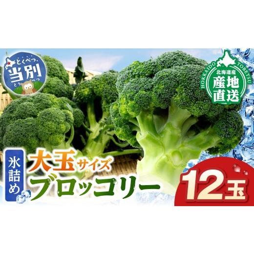 ふるさと納税 野菜類 北海道 当別町 2026年先行予約 氷詰めブロッコリー縦置き12玉 | ブロッコリー 氷詰めブロッコリー 北海道ブロッコリー 大玉ブロッコリー_1