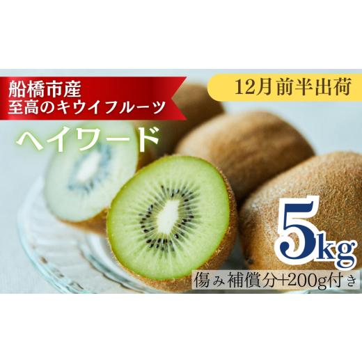ふるさと納税 果物類 千葉県 船橋市 12月前半発送分 国産キウイフルーツ 5kg 未追熟バラ詰め 12月前半出荷分