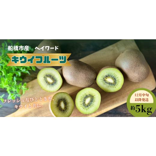 ふるさと納税 果物類 千葉県 船橋市 12月中旬発送 キウイフルーツ ヘイワード キウイ 5kg 国産 船橋市産 やまちょう園 選べる発送時期 期間限定 数量限定 限…