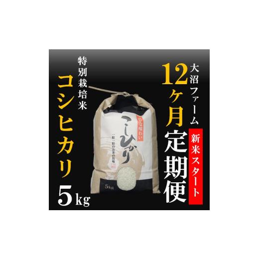 ふるさと納税 米 コシヒカリ 山形県 三川町 10月スタート 定期便12回 大沼ファームの特別栽培米コシヒカリ5kg