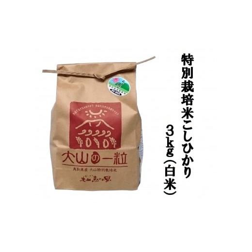 ふるさと納税 鳥取県 大山町 MS-11 減農薬・減化学肥料 特別栽培米こしひかり3kg