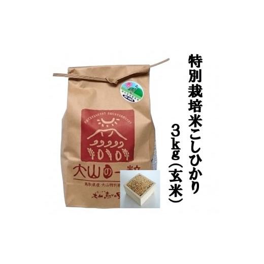 ふるさと納税 鳥取県 大山町 MS-14 減農薬・減化学肥料 特別栽培米こしひかり3kg 玄米