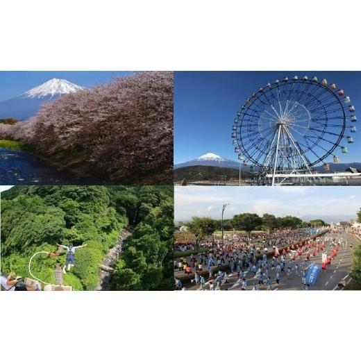 ふるさと納税 宿泊券 旅館・民宿 静岡県 富士市 宿泊券「富士市ホテル旅館組合 宿泊ギフト券」 1枚 富士市 チケット(1238)_1