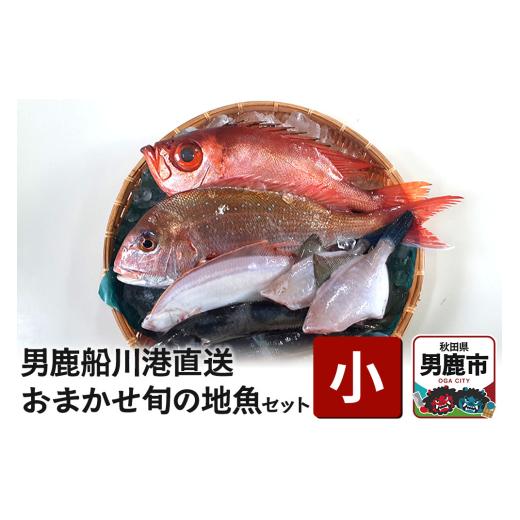 ふるさと納税 旬の鮮魚等 秋田県 男鹿市 男鹿船川港直送おまかせ旬の地魚セット（小）秋田県 男鹿市 萬漁水産_1