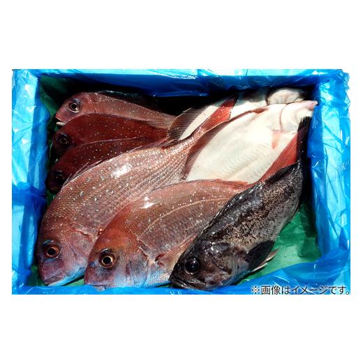 ふるさと納税 旬の鮮魚等 秋田県 男鹿市 男鹿船川港直送おまかせ旬の地魚セット（小）秋田県 男鹿市 萬漁水産_5