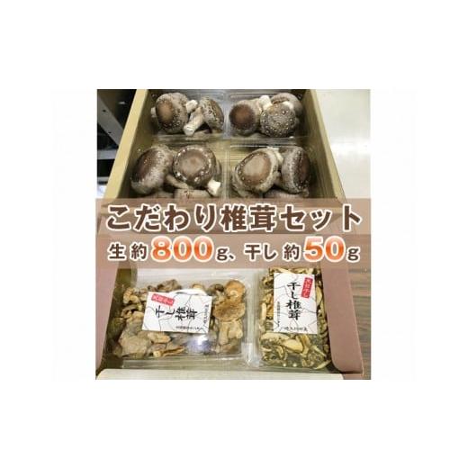 ふるさと納税 埼玉県 行田市 No.005 行田産こだわり椎茸セット(生椎茸・干し椎茸) / きのこ しいたけ シイタケ 埼玉県