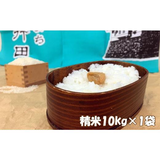 ふるさと納税 米 埼玉県 行田市 行田のお米 忍城献上米10kg[むかさ商店] / 米 お米 おこめ 白米 10kg 10キロ ご飯 ごはん ブランド米 産地直送 産直 国産 …