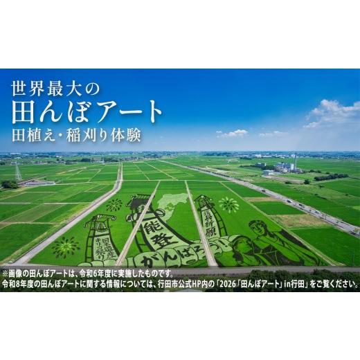 ふるさと納税 体験チケット 埼玉県 行田市 世界最大の田んぼアート田植え・稲刈り参加体験 / 田んぼアート 田植え体験 稲刈り体験 農業体験 体験チケット 親…