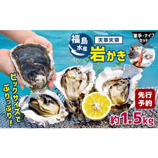 ふるさと納税 熊本県 苓北町 福島水産の天草天領岩かき 約1.5kg | 海鮮 海産物 海の幸 シーフード 魚貝類 かき 牡蠣 岩かき 岩牡蠣 夏牡蠣 生食用 生もの 濃厚…