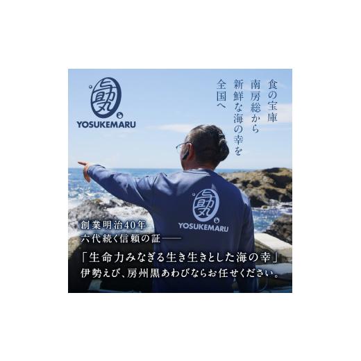 ふるさと納税 しゃぶしゃぶ 千葉県 南房総市 南房総新名物 伊勢海老しゃぶしゃぶ6尾セット mi0020-0004 魚介 海鮮 お祝い ギフト プレゼント 天然 海老 エビ …_4