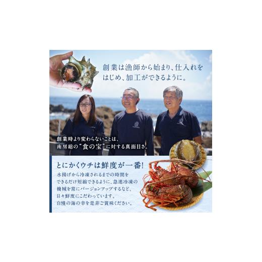 ふるさと納税 しゃぶしゃぶ 千葉県 南房総市 南房総新名物 伊勢海老しゃぶしゃぶ6尾セット mi0020-0004 魚介 海鮮 お祝い ギフト プレゼント 天然 海老 エビ …_6