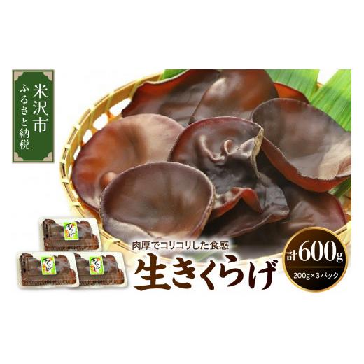 ふるさと納税 野菜類 きのこ 山形県 米沢市 期間限定 生きくらげ 200g × 3パック 計600g 2026年6月〜10月中旬頃 お届け予定 国産 米沢産 生 きくらげ きのこ …