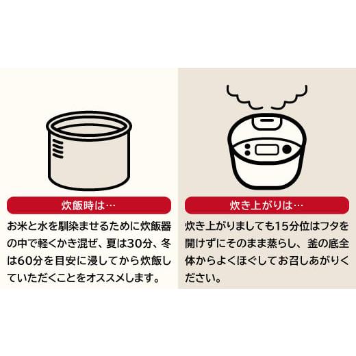 ふるさと納税 島根県 奥出雲町 【無洗米】仁多米こしひかり4kg定期便2回【仁多米 こしひかり コシヒカリ 無洗米 定期便 4kg×2回 合計8kg 定期 小分け 便利 お…｜furusatochoice｜07