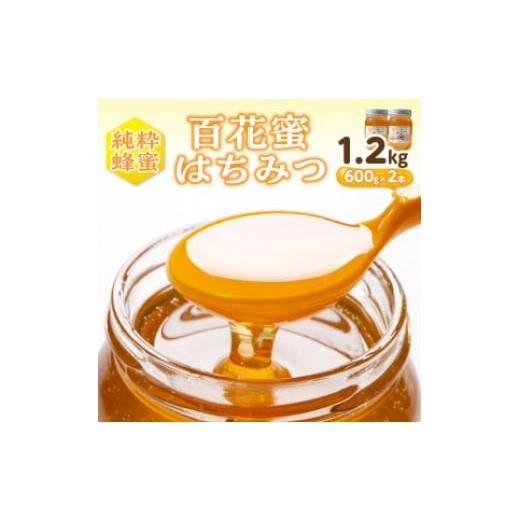 ふるさと納税 加工品等 はちみつ 和歌山県 御坊市 百花蜜 はちみつ 600g×2本セットの画像