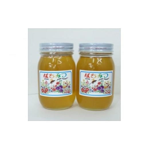 ふるさと納税 加工品等 はちみつ 和歌山県 御坊市 百花蜜 はちみつ 600g×2本セットの画像