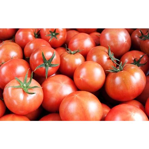 ふるさと納税 野菜類 トマト 高知県 日高村 シュガートマト ビアンコ08 糖度8度以上 1kg 高知県産 フルーツトマト 甘い 高糖度 JA 日高村 ギフト_3