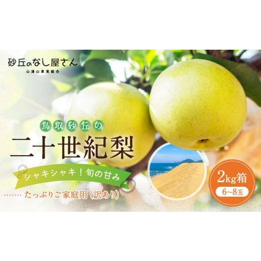 ふるさと納税 梨 鳥取県 鳥取市 二十世紀梨 訳あり 2キロ(砂丘のなし屋さん)