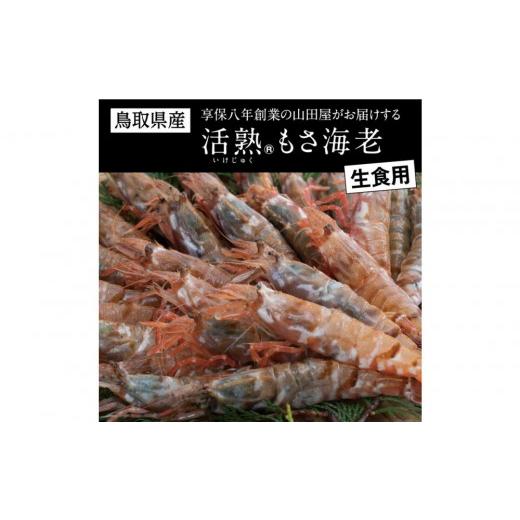 ふるさと納税 エビ 鳥取県 鳥取市 鳥取県産 生食用もさ海老 山田屋