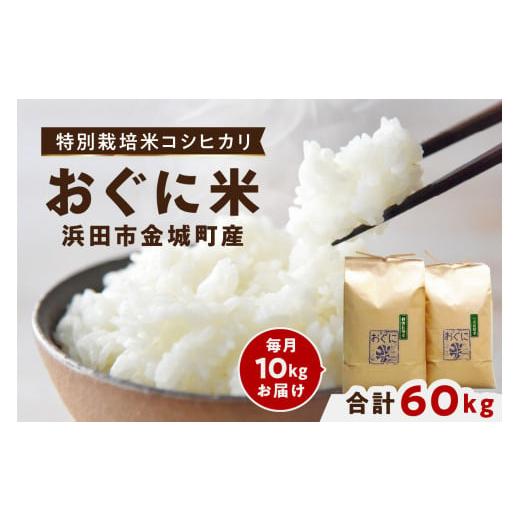 ふるさと納税 島根県 浜田市 【定期便】【令和5年産】浜田市金城町産コシヒカリ「おぐに米」10kg定期便（6回コース） 定期便 10キロ 6回 米 お米 こしひかり …｜furusatochoice｜02