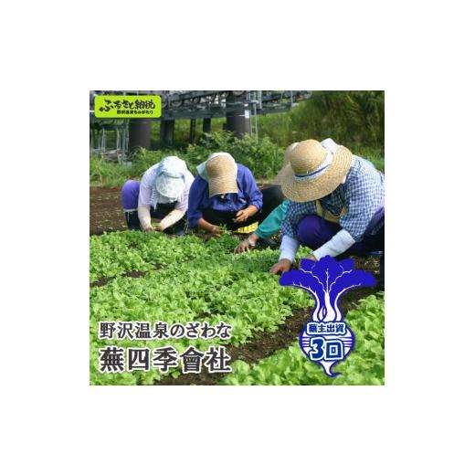 ふるさと納税 地域のお礼の品 長野県 野沢温泉村 野沢温泉のざわな蕪四季會社 蕪主出資3口 | P-3の画像