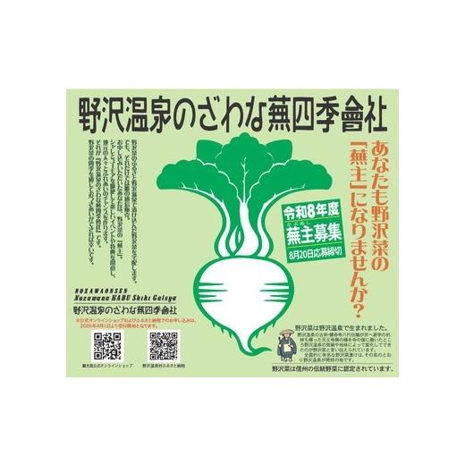 ふるさと納税 地域のお礼の品 長野県 野沢温泉村 野沢温泉のざわな蕪四季會社 蕪主出資3口 | P-3の画像
