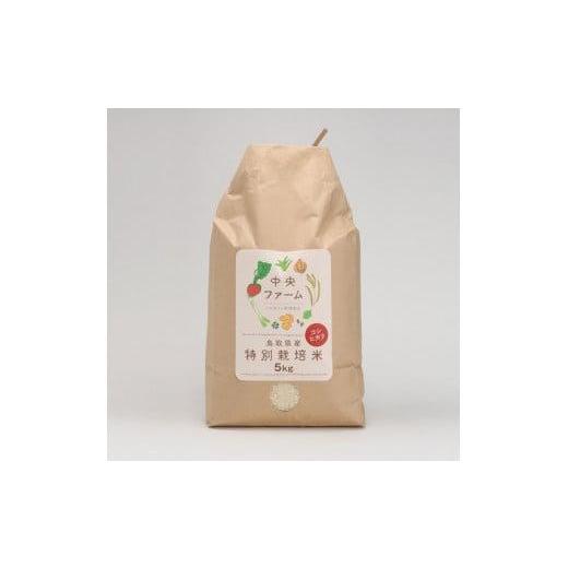 ふるさと納税 米 コシヒカリ 鳥取県 鳥取市 2025年収穫 鳥取県産特別栽培米こしひかり ( 5kg )