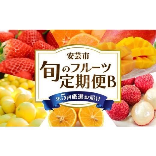 ふるさと納税 果物の詰合せ 高知県 安芸市 5回 定期便 フルーツ定期便 B マンゴー ライチ 小夏 文旦 土佐文旦 果物 定期便 果物定期便 旬 季節 期間限定 数量…