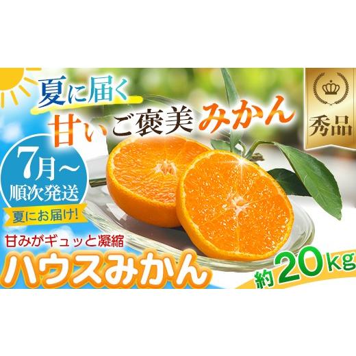 ふるさと納税 果物類 みかん 大分県 杵築市  2026 7月 発送 先行予約 ハウスみかん 秀品 約20kg 今村農園 ノーワックス 甘い 夏 ジューシー 美味しい ビタミン…_1