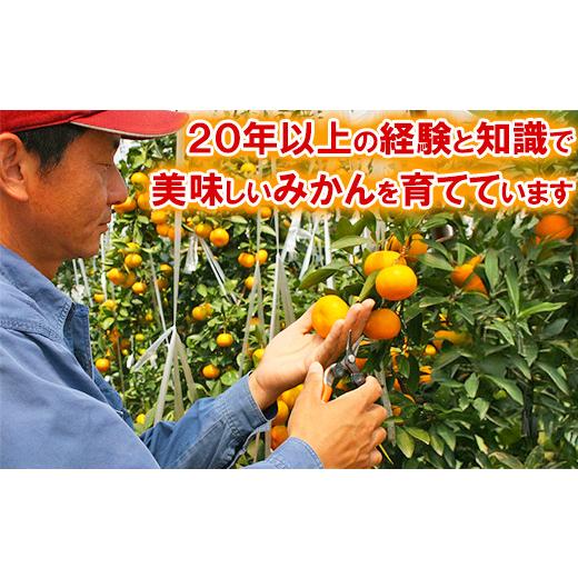 ふるさと納税 果物類 みかん 大分県 杵築市  2026 7月 発送 先行予約 ハウスみかん 秀品 約20kg 今村農園 ノーワックス 甘い 夏 ジューシー 美味しい ビタミン…_6