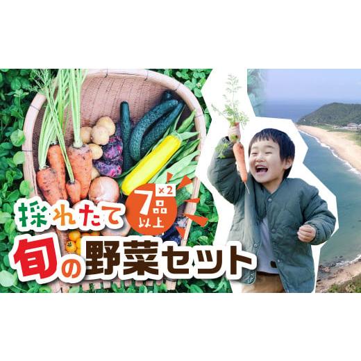 ふるさと納税 愛知県 田原市 金賞受賞 有機栽培 旬彩野菜セット 旬の野菜 7種14品目以上 レシピ付き お届け 国産 新鮮 農薬不使用 化学肥料不使用 産地直送 こ…