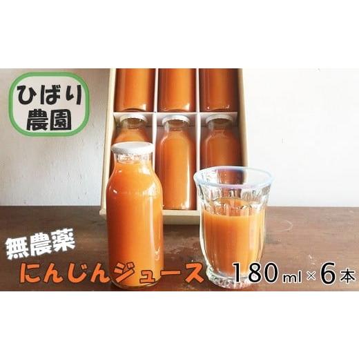 ふるさと納税 果汁飲料 にんじん 岩手県 花巻市 ひばり農園の無農薬にんじんミックスジュース 363