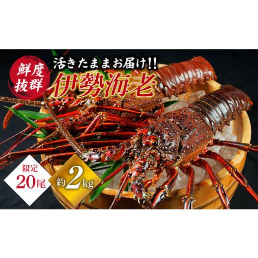 ふるさと納税 エビ 伊勢エビ 長崎県 西海市 天然 伊勢海老 崎戸産 2尾（計約2kg） CAW003 西海大崎漁協 崎戸支所 長崎 西海 伊勢海老 伊勢エビ エビ 天然 贈答…_1