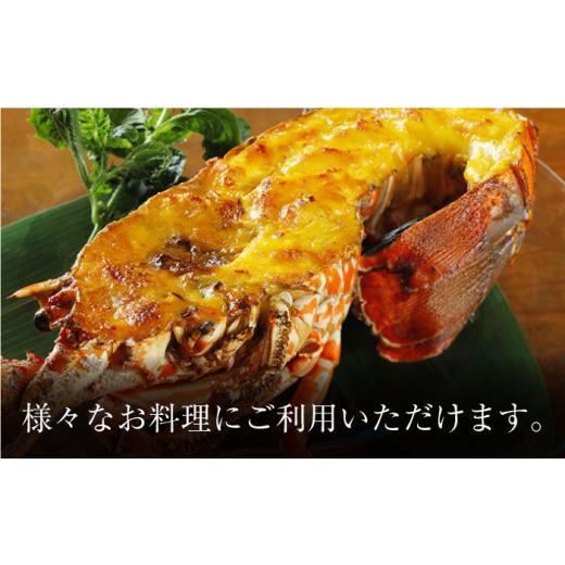 ふるさと納税 エビ 伊勢エビ 長崎県 西海市 天然 伊勢海老 崎戸産 2尾（計約2kg） CAW003 西海大崎漁協 崎戸支所 長崎 西海 伊勢海老 伊勢エビ エビ 天然 贈答…_4
