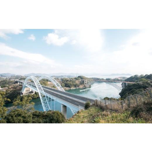 ふるさと納税 エビ 伊勢エビ 長崎県 西海市 天然 伊勢海老 崎戸産 2尾（計約2kg） CAW003 西海大崎漁協 崎戸支所 長崎 西海 伊勢海老 伊勢エビ エビ 天然 贈答…_5