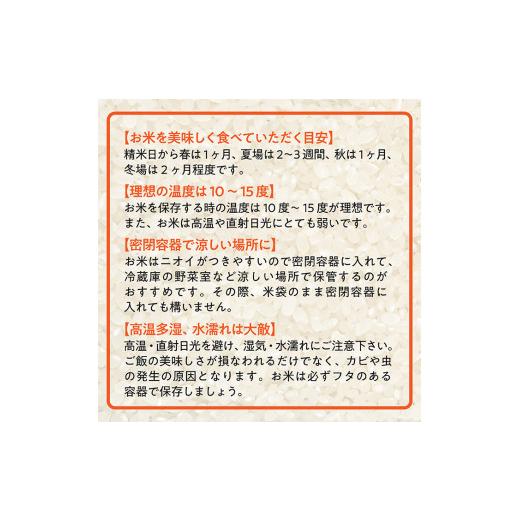 ふるさと納税 山形県 最上町 つや姫＆雪若丸小分けスティック米16本セット｜furusatochoice｜09